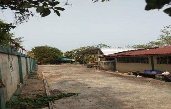 ��º�ҹ ��§�ҹ���