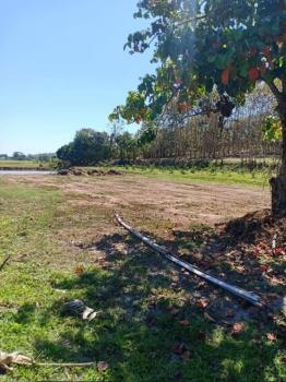 ������ �� onanong khumaphao