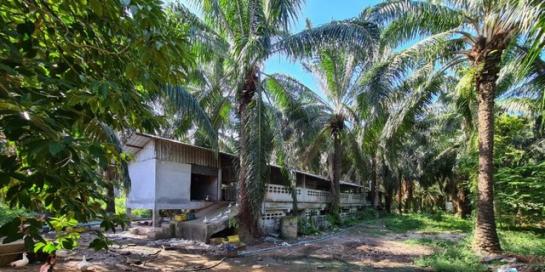 ��ҹ �����Ԫ� �����ո����Ҫ