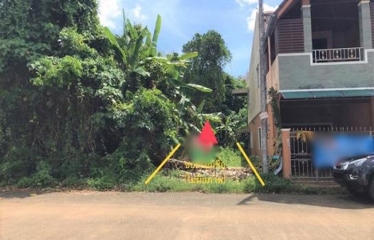 ��µ�ѧ �� panaya.opalopal