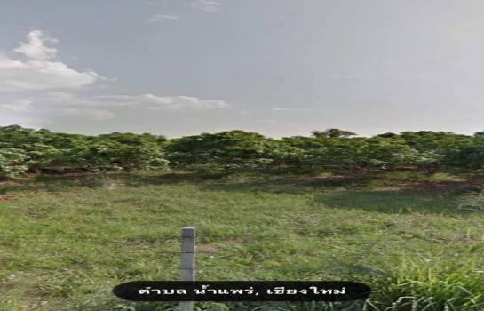 �ҧ�� �� onanong khumaphao