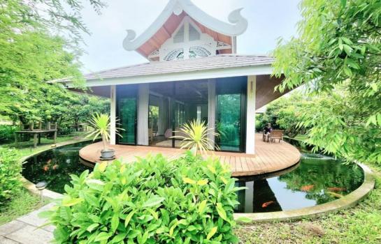 ��ҹ�ҧ�� �� Sawasdee