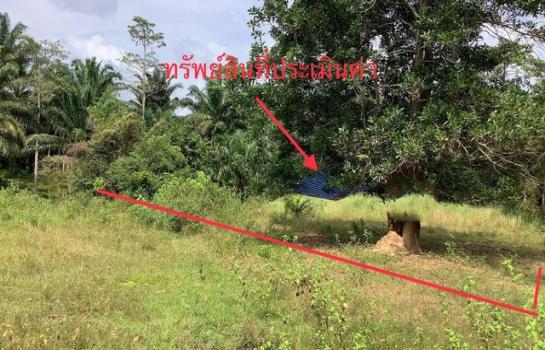 ��ѧ �� compos2566