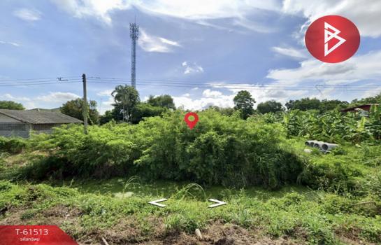 ��ɳ��š �� The Best Property Agent