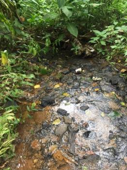 ���ᵧ �� onanong khumaphao