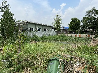 �ѹ����� �� TheEstate78924