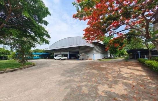 ���ԧ��� �� 1000property