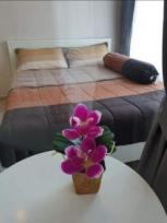 �����Ҥ͹������� �Ҥһ�С�������� 12,000 �ҷ/��͹