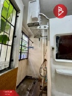 �͹� �ҧ���