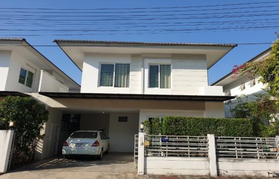 �Ң�ѭ �Ź�����