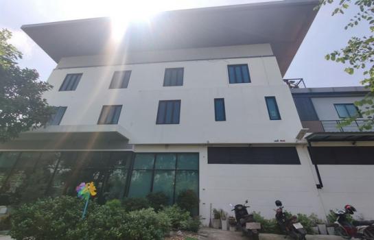 ��»����� �� naorinpl