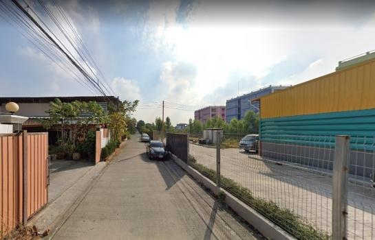 �Ҵ����� �� HarrisonTH