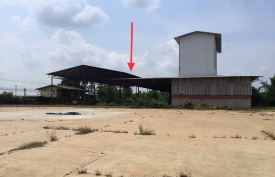 ��¾ԨԵ� �� panaya.opalopal