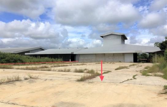 �ԨԵ� �� panaya.opalopal