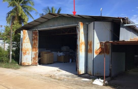 ��¾ԨԵ� �� panaya.opalopal