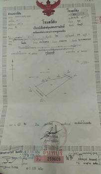 �ѹ����� �� sopa