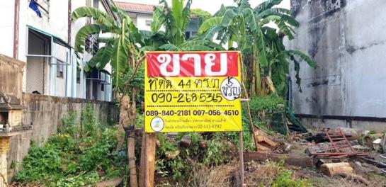 �شøҹ� �� zionasset1