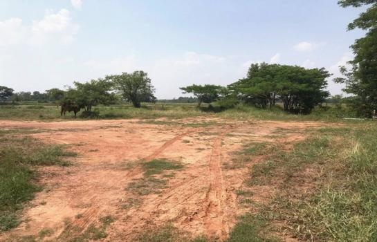 ˹ͧ��� �� zionasset1