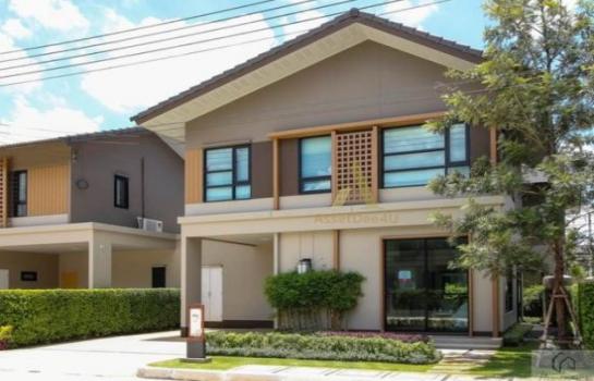 ��ͧ��ǧ �� AssetD4U