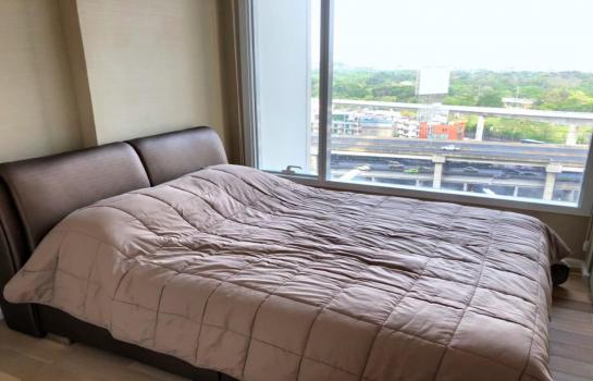 ��بѡ� �� SW ESTATE_Rental