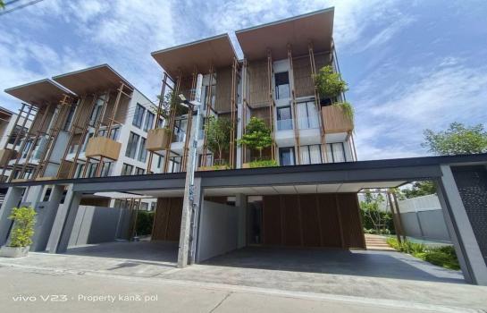 �Ҵ����� �� kantapon4