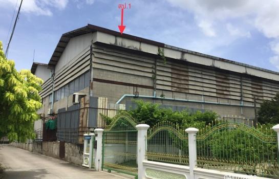 �ҧ��� �� compos2566