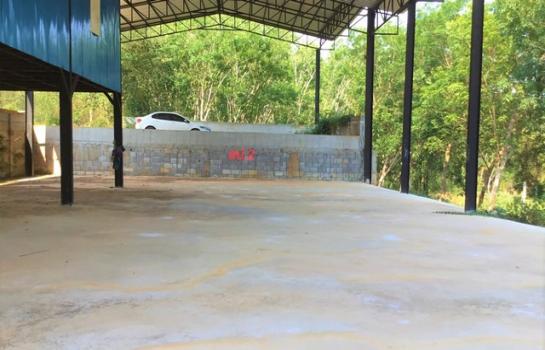 ����ç�ҹ ���ͧ������