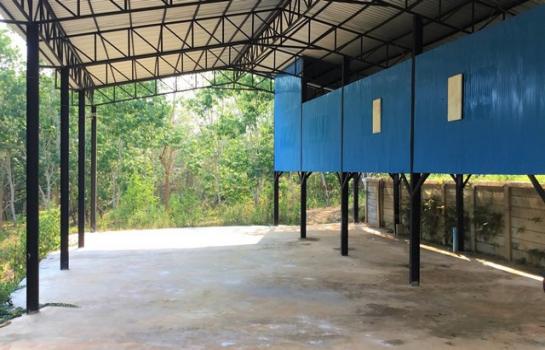 ����ç�ҹ ���ͧ������