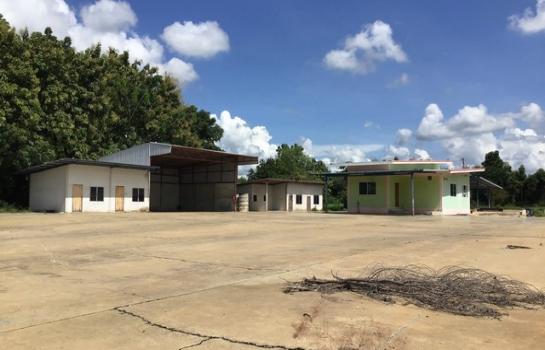 ������ä� �� panaya.opalopal