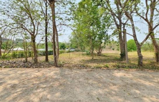 �ҧ�� �� onanong khumaphao