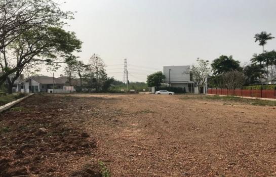 �ҧ�� �� northern1