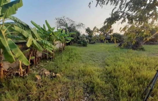 �ҧ�� �� northern1