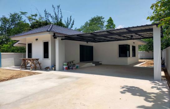 ��ҹ�ѹ��ҵͧ ��§����