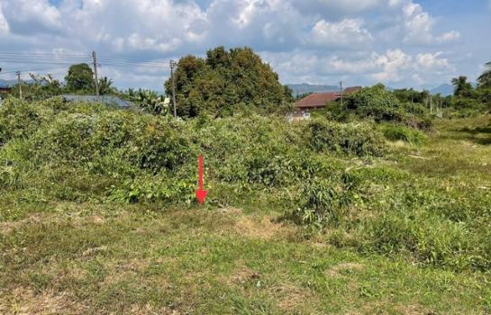 ��¾ѧ�� �� panaya.opalopal