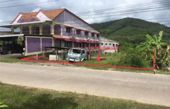 ��¾ѧ�� �� panaya.opalopal