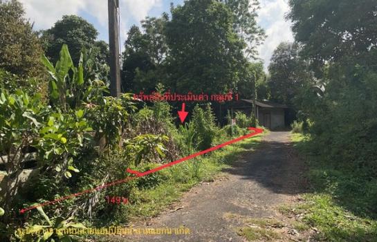 ���ʧ �� compos2566