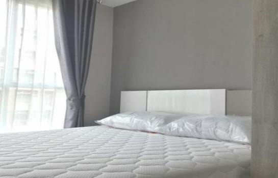 �ҧ�� �� SW ESTATE_Rental