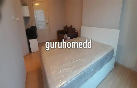 ��ºҧ� �� condoguru1