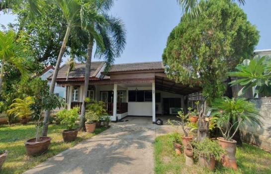 �Ң�ѭ �Ź�����