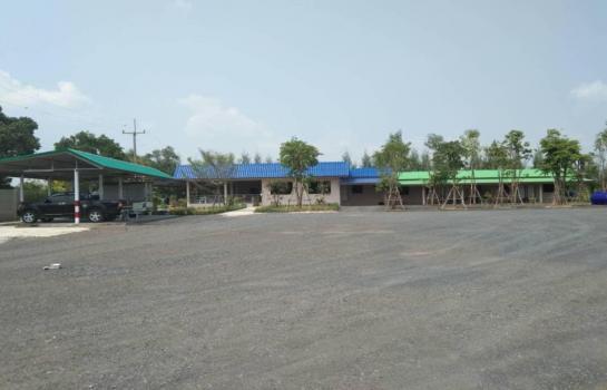 �����к��� �� 1000property