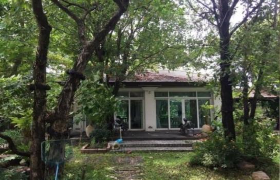 �ҧࢹ �� bbest2