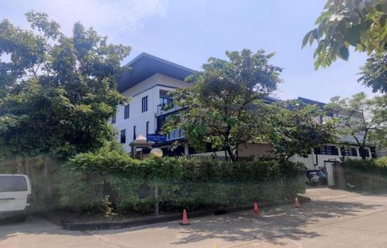 ��»����� �� naorinpl