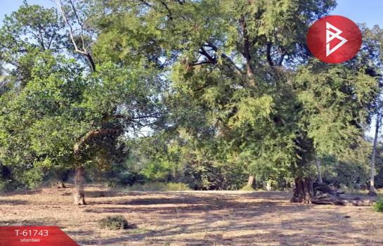 �ҭ������ �� The Best Property Agent