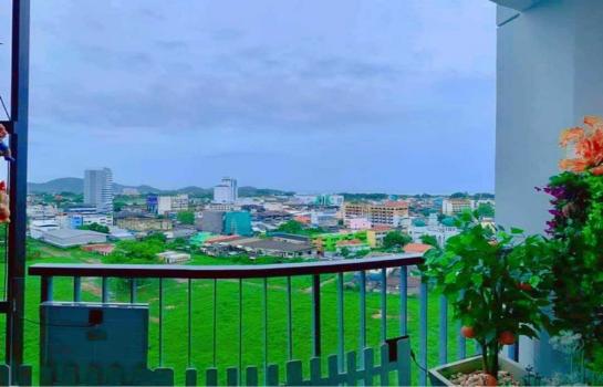 �����¹��� ���˹����ѧ�������Ѿ��