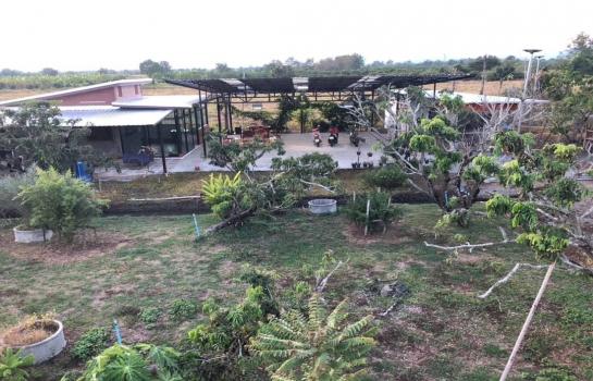 �ҧ�� �� onanong khumaphao