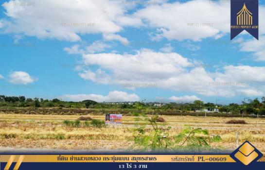 ˹ͧ�� �� Perfect Property1