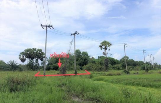 ���ͧ ʧ��� �� panaya.opalopal