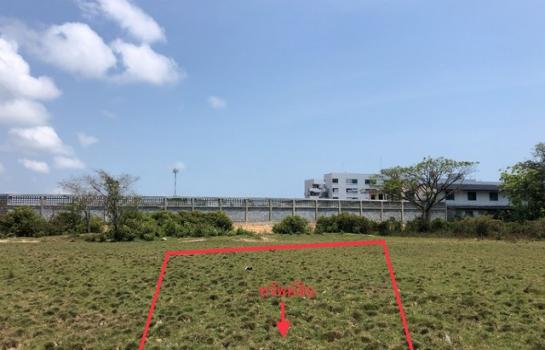 ���ͧ ʧ��� �� panaya.opalopal