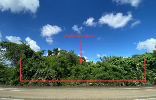 ʧ��� �� panaya.opalopal