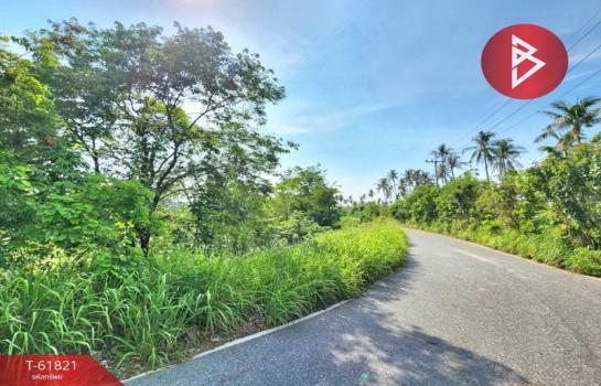 �ź��� �� The Best Property Agent